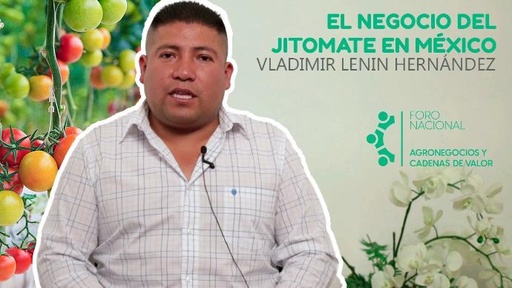 El negocio del jitomate en México