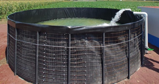 ESTANQUE DE GEOMEMBRANA PARA PRODUCCIÓN PISCÍCOLA DE 5 M DE DIAMETRO X 1.2 M DE ALTO, VOLUMEN 23.56, VOLUMEN DE OPERACIÓN 20.52, SALIDA DE 3", INCLUYE ELECTROMALLA, NUDOS DE 1/4, FUNDA HDPE 1MM DE ESPESOR NOMINAL, REMACHES, POSTES GALVANIZADOS CALIBRE 18, CABLES DE 1/8 A 1/4 DE GROSOR