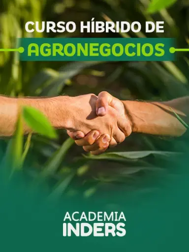 CURSO ONLINE DE AGRONEGOCIOS A LLEVARSE A CABO EL 05, 06 Y 07 DE AGOSTO DE 2025.