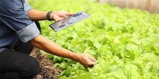 AgTech Aplicada En La Comercialización Agrícola | Majo Toledo