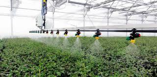 5 Variables Agroclimáticas En Invernadero Y Su Control | Joel Hdez | SMEAP México