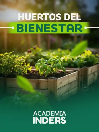 Huertos Del Bienestar